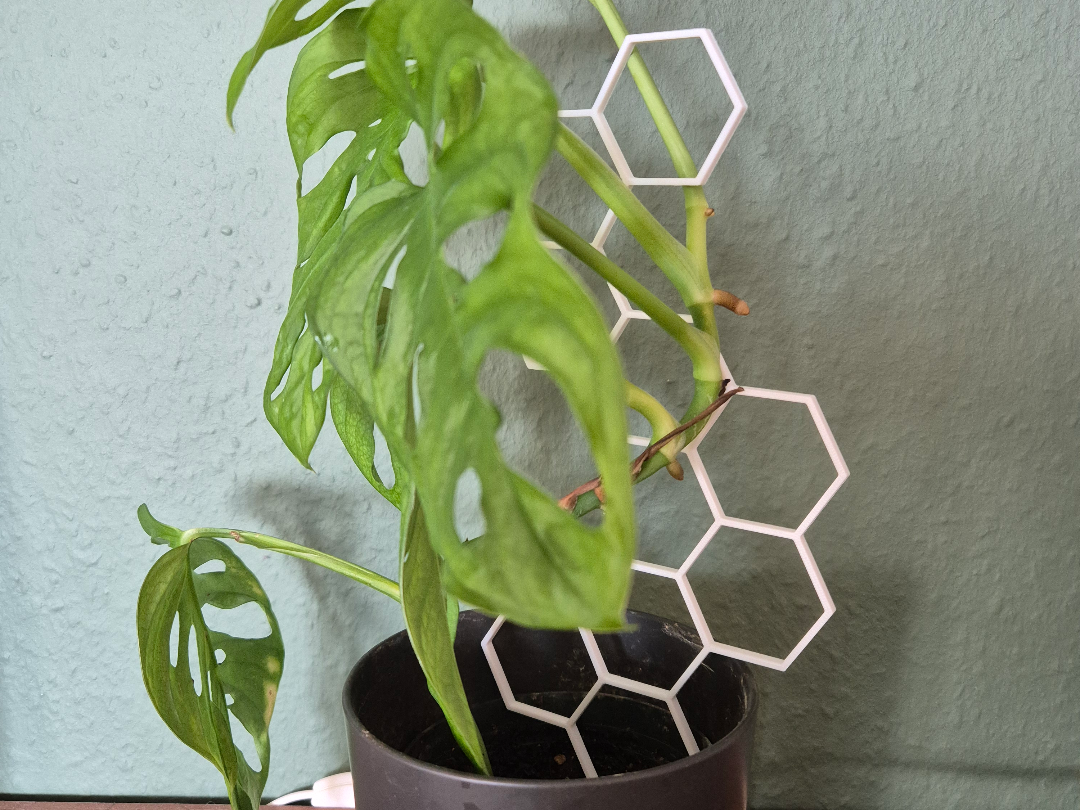 Plant Support Strong