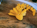Articulated Crystal Axolotl (Crystalotl)