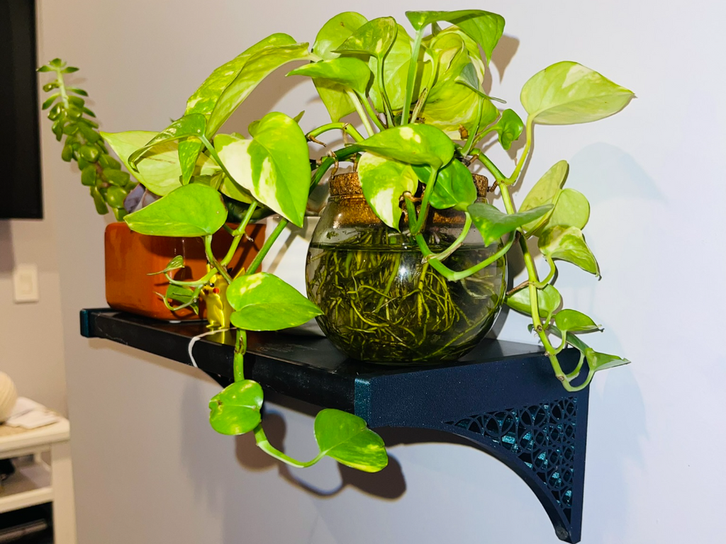 Stone Shelf Brackets (3/4"x6" Stone)
