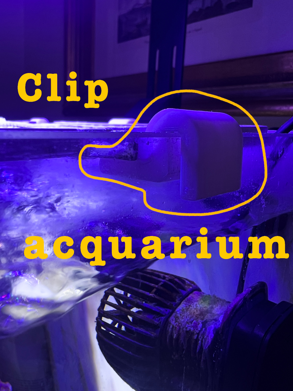 aquarium clip - glass