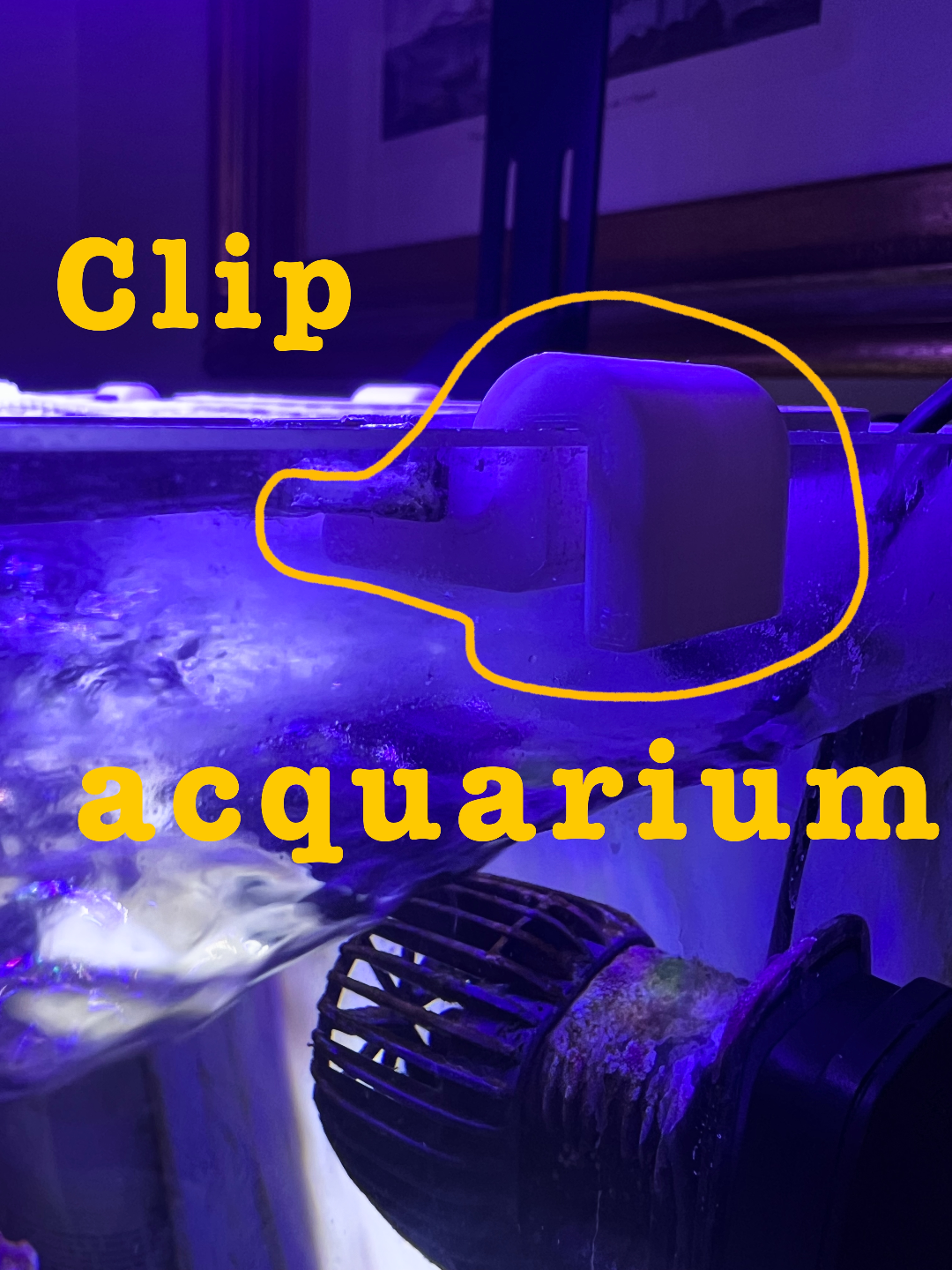 aquarium clip - glass