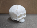 Slime fidget skull