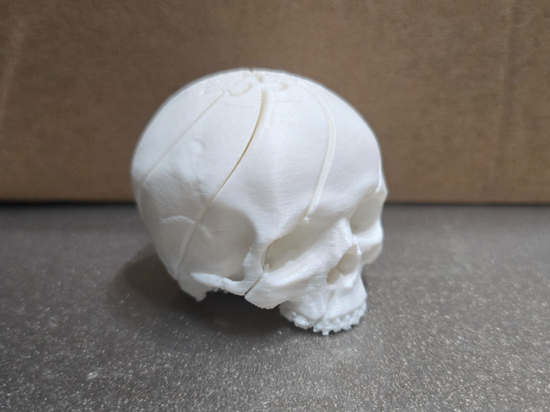 Slime fidget skull