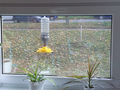 Window bird feeder for Cappy and Relax bottles
