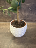Plant Pot "Retro"
