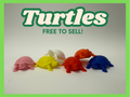 Mini Turtles - Realistic
