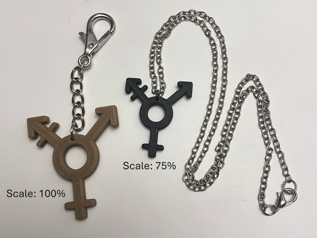 Trans Symbol Charm