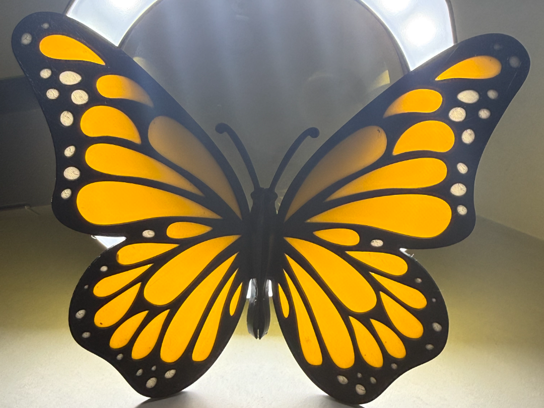 Butterfly