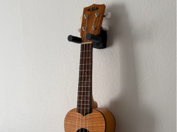 Ukulele or Guitar Wall Mount