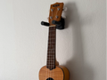 Ukulele or Guitar Wall Mount