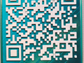 First Print DOGE QR