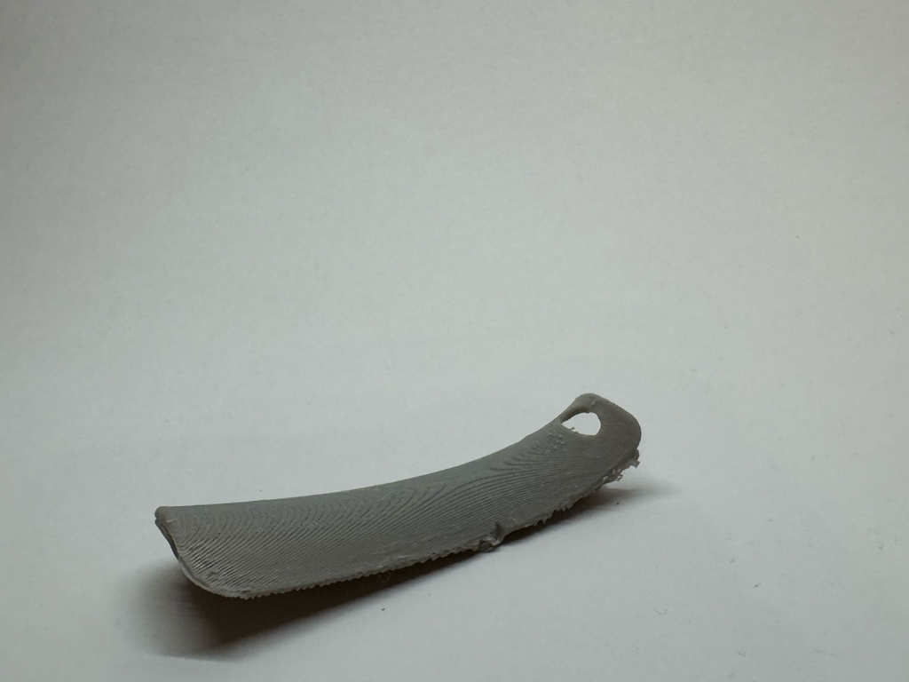 Shoe Horn