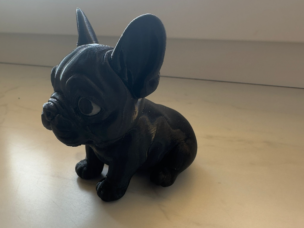 Frenchie Bulldogge