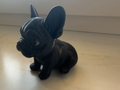 Frenchie Bulldogge
