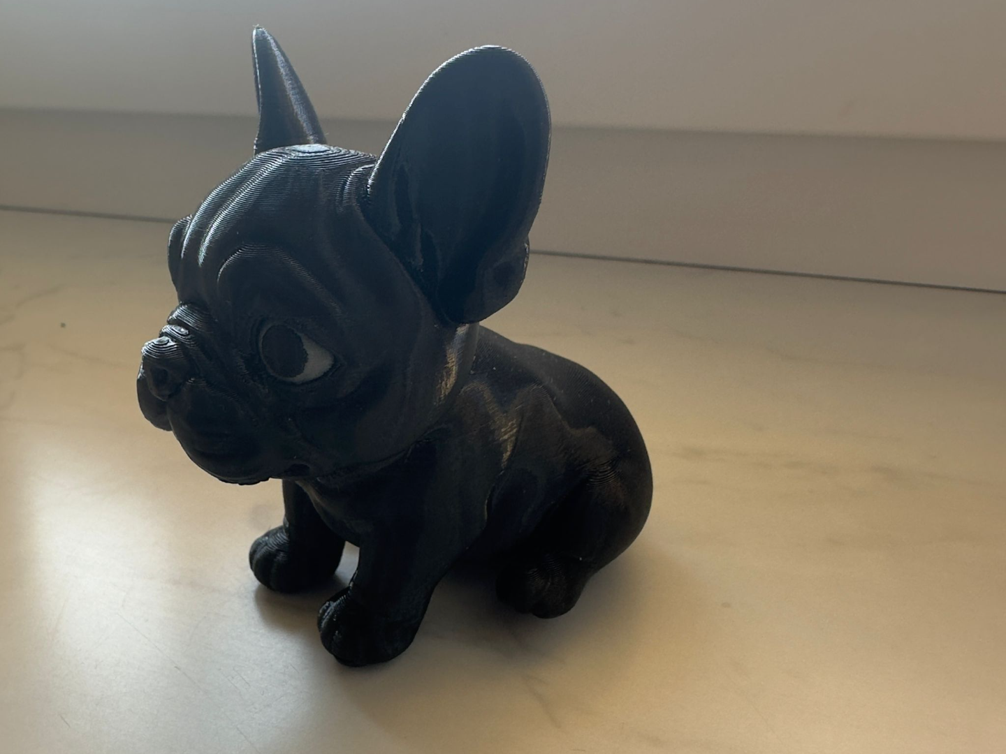 Frenchie Bulldogge