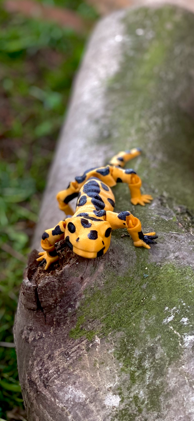 Flexi Salamander