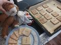 Text Cookie Cutter