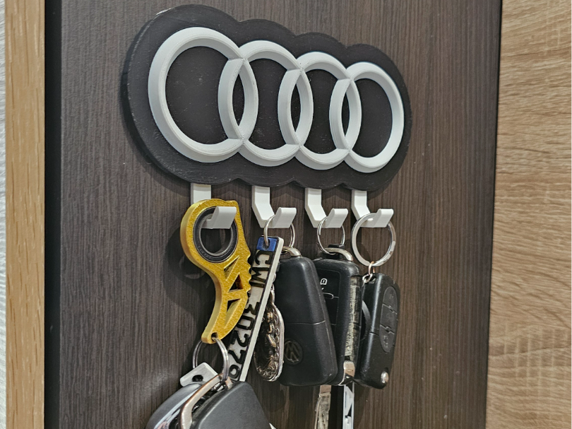 Audi key holder no ams
