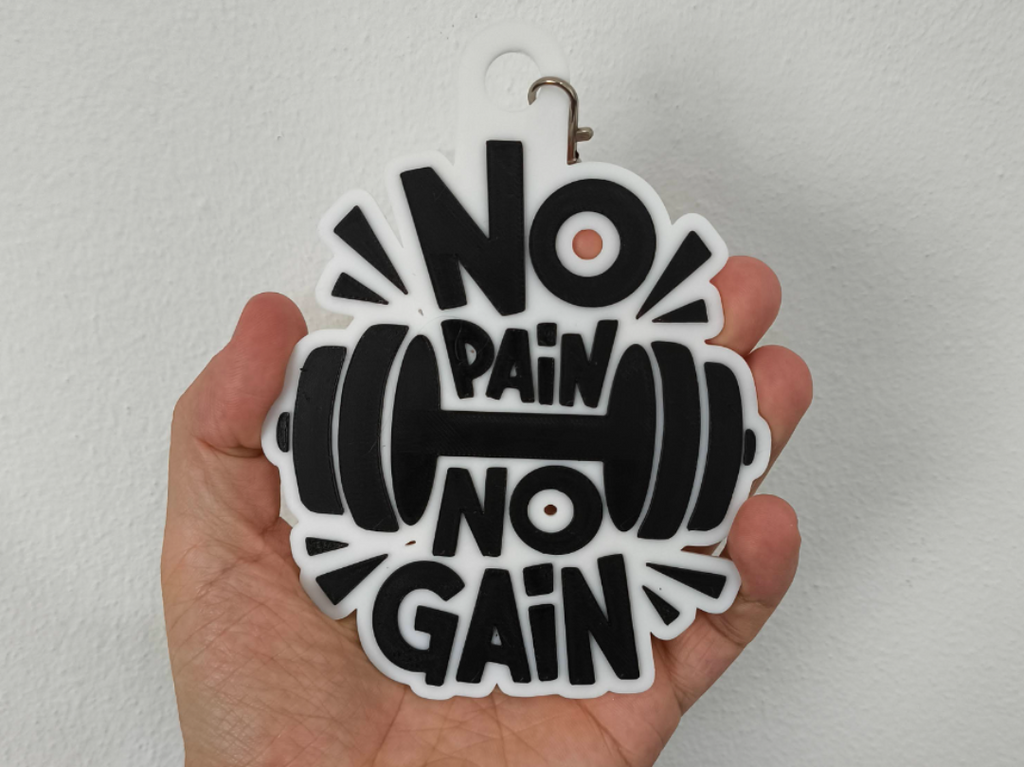 Keychain No pain no gain