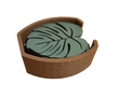 Monstera coaster holder