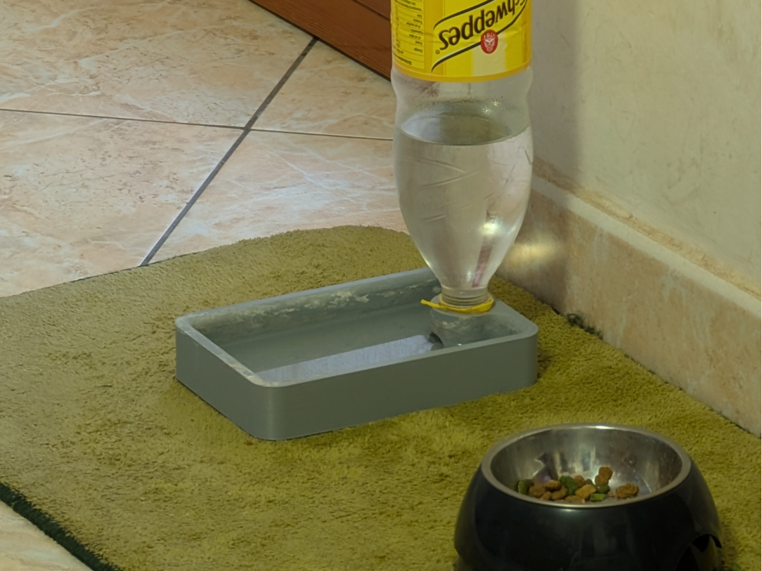 Cat Water Bowl Remixed