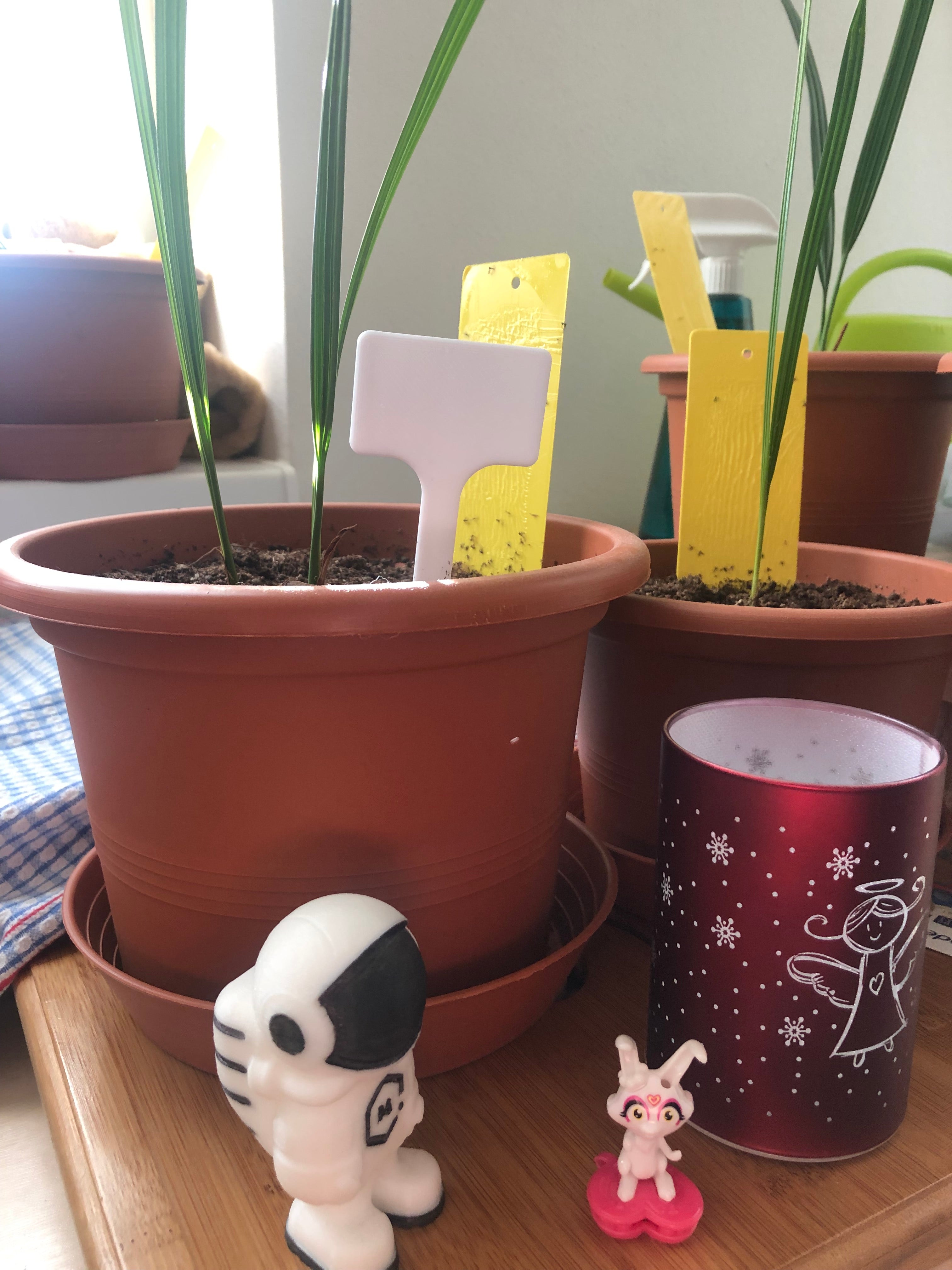 Simple plant marker