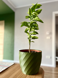 Polygon Vase