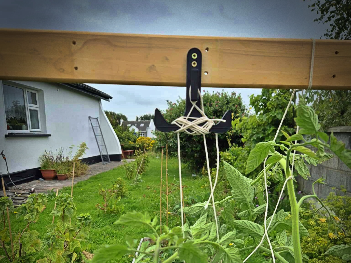 Plant Tie-Up Hook