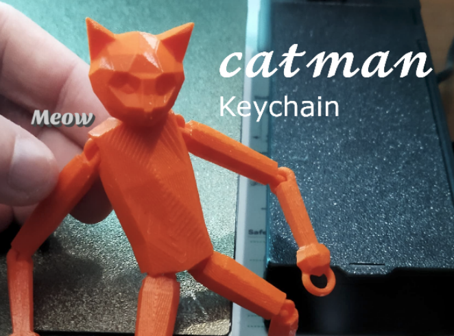 Flexi Cat Man Lowpoly Keychain