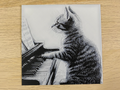 Pianist Cat