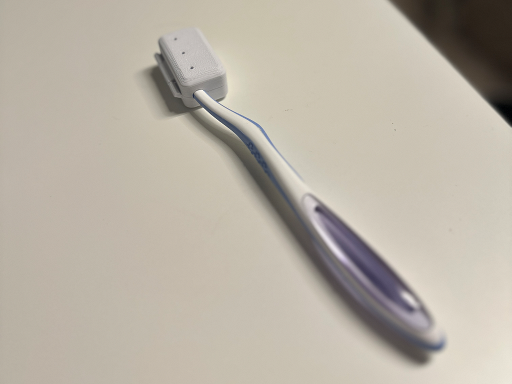 Toothbrush Travel case
