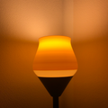 Lamp Shade #2