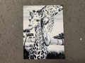 giraffes