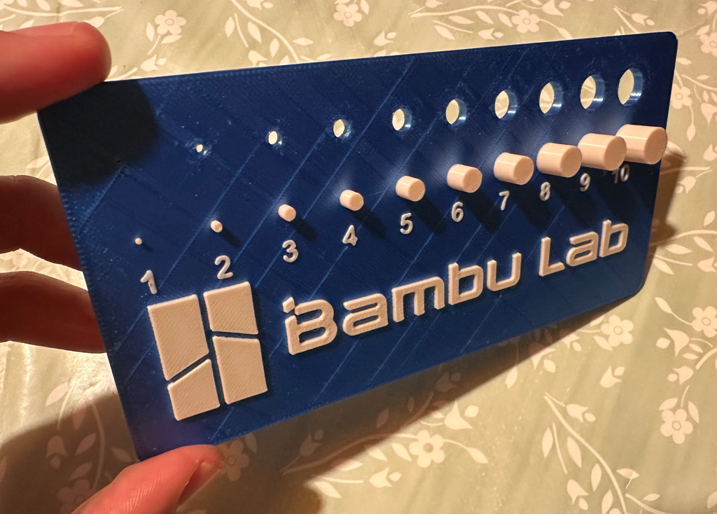 Calibration Print with holes and pegs Bambu Labs