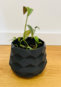 PRIZM VASE