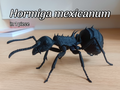 Hormiga mexicanum Imaginary ant model
