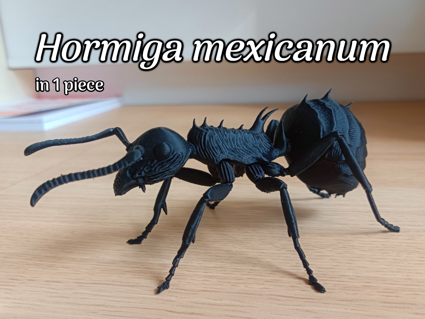 Hormiga mexicanum Imaginary ant model