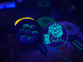 Necromancer's Dice Crypt