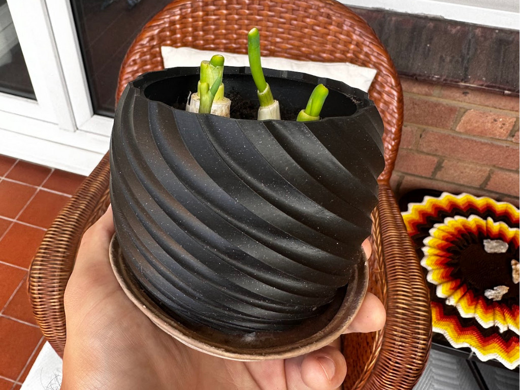 My Twisted Plant Pot