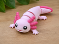 Axolotl