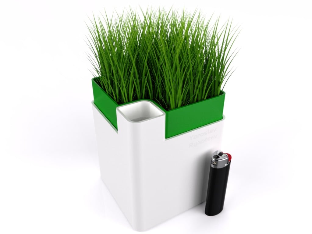 Self Watering Pot