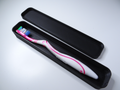 Toothbrush Case