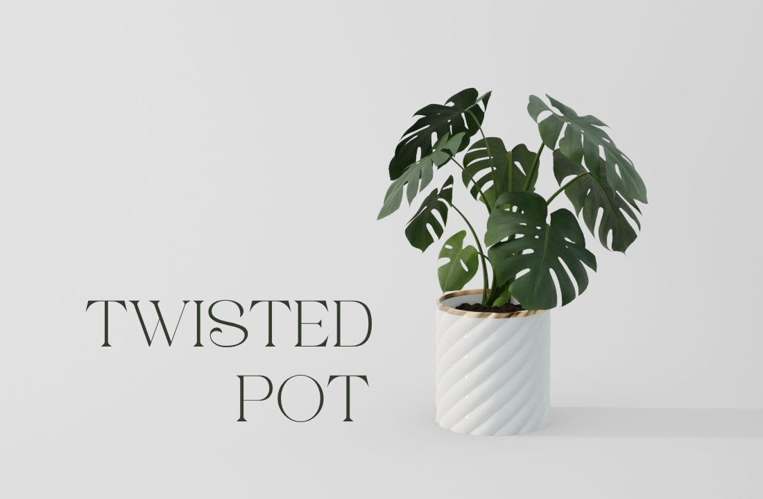Pot 002 - Twisted Planter