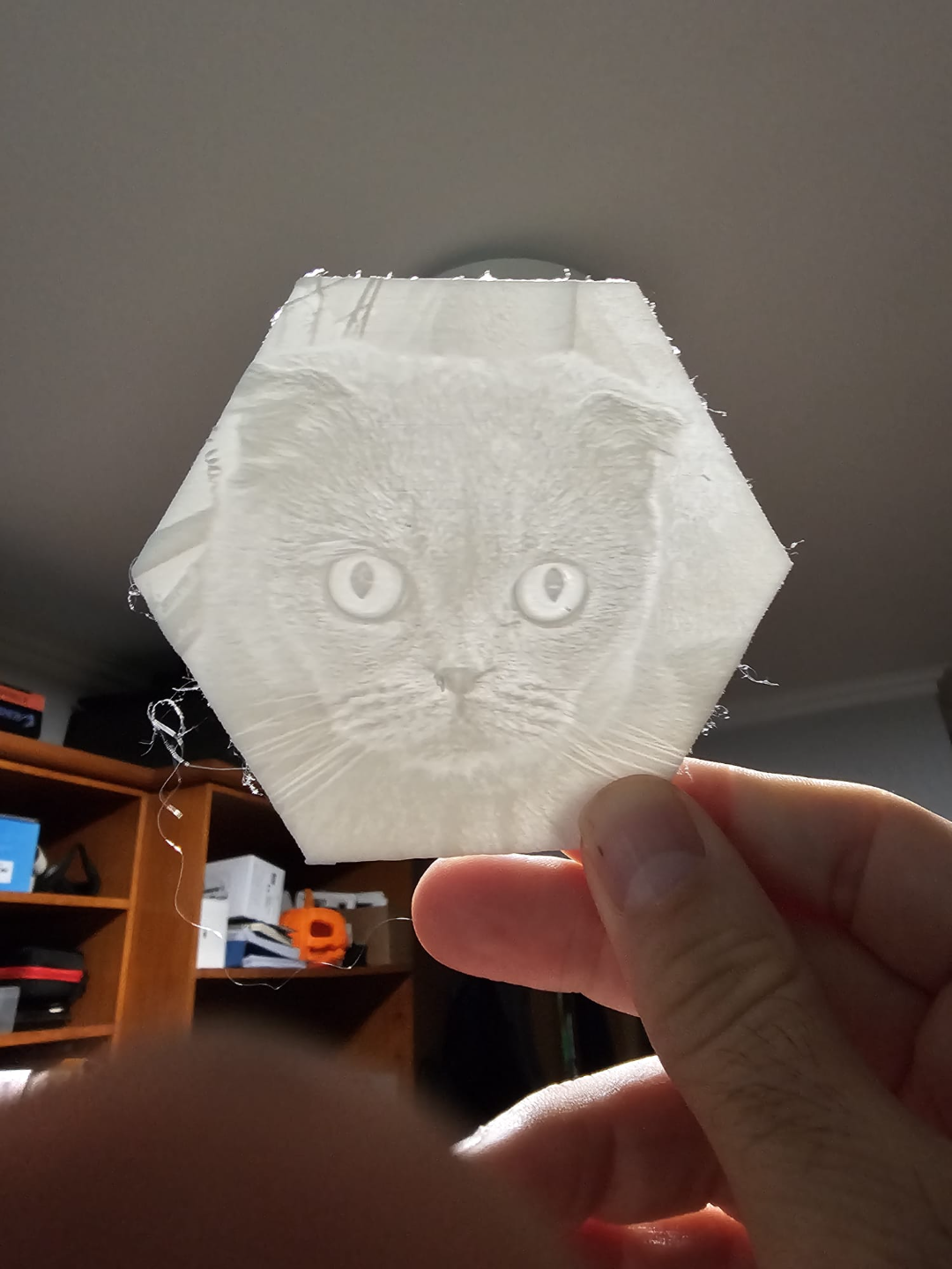 Lithophane profile