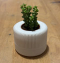 Modern quick little vase