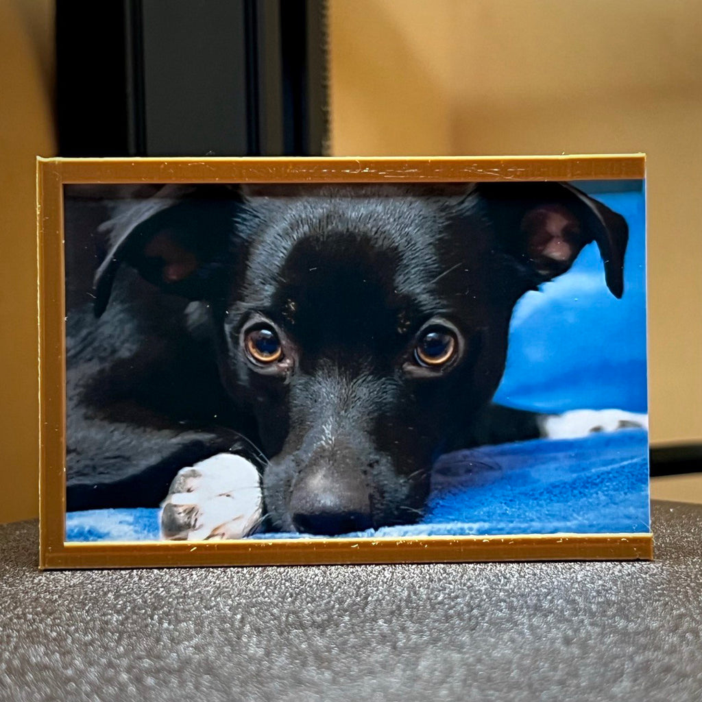 Photo frame for KODAK Mini 2 P210R (5.3x8.6cm)