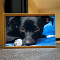 Photo frame for KODAK Mini 2 P210R (5.3x8.6cm)