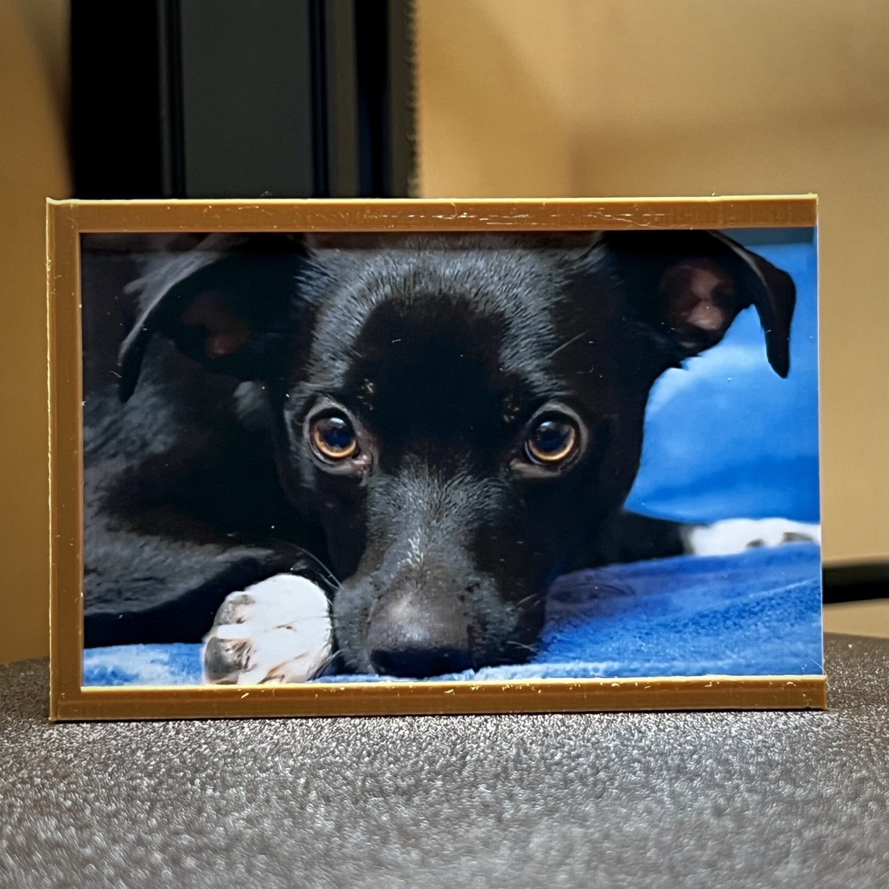 Photo frame for KODAK Mini 2 P210R (5.3x8.6cm)