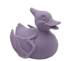 Pterodactyl Duck