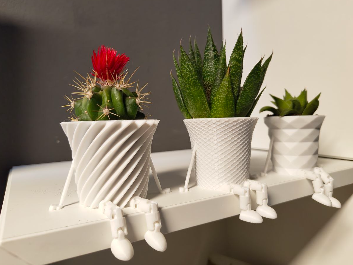 Mini Cactus family flowerpot